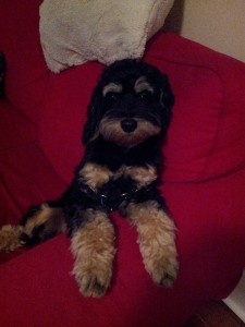 10407614_710525949037721_1783523337913949496_n