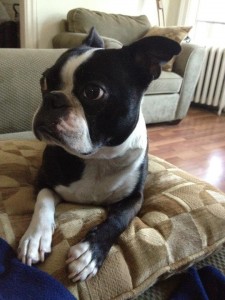 61221_366506093439710_15383979_n