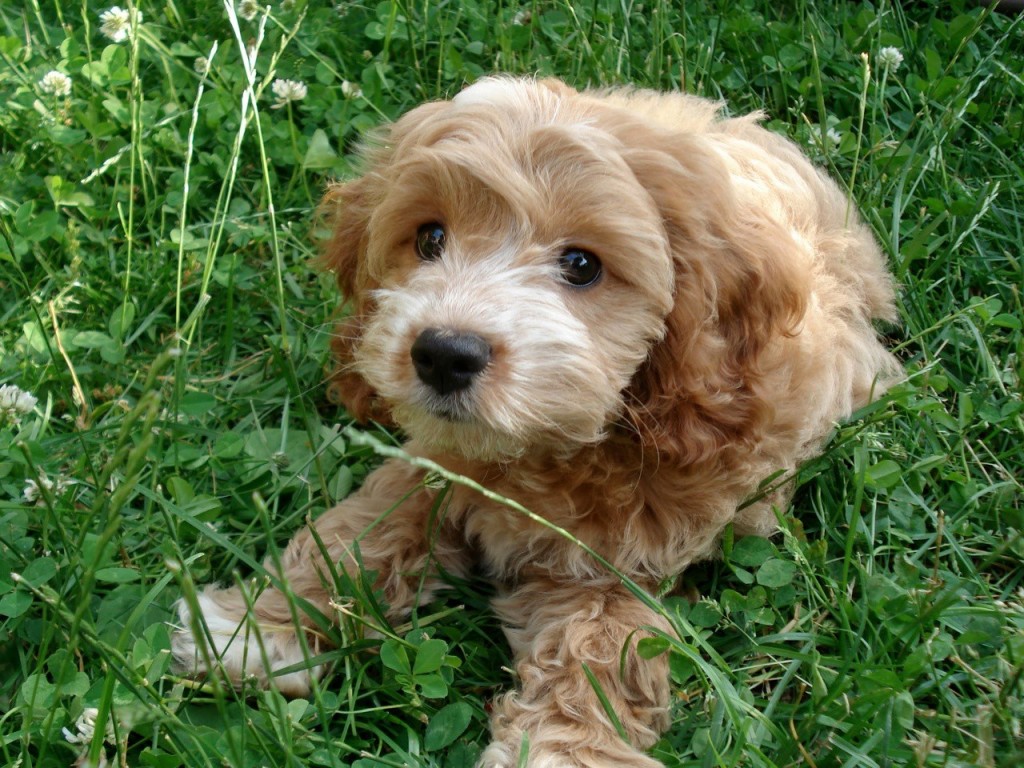 664835_366429453447374_831877375_o