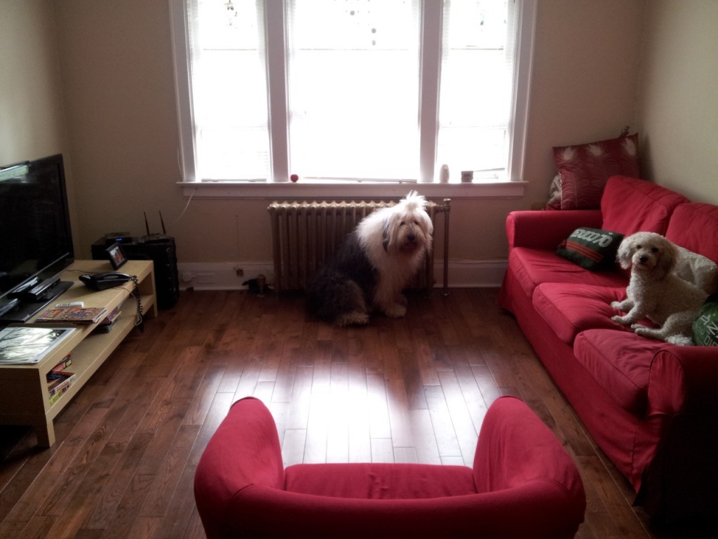 tumblr_n5vwpwbPgh1tcs9lao1_1280