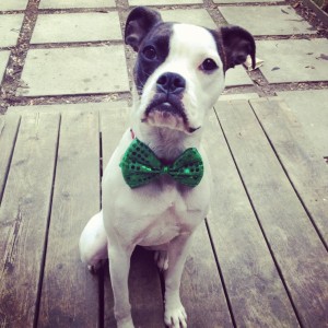 tumblr_n5vwx2GMqA1tcs9lao1_1280