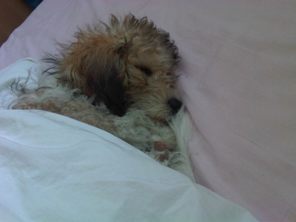 tumblr_n5vx32v4of1tcs9lao1_1280