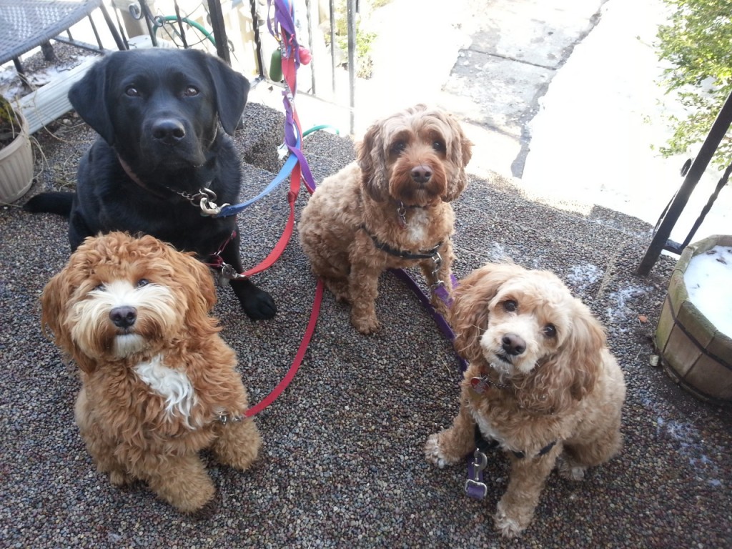 tumblr_n65hcwUTQ61tcs9lao1_1280