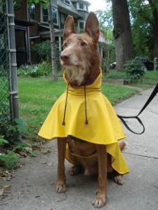 tumblr_n66qd7n9aI1tcs9lao1_1280