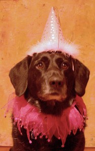 tumblr_n68tmi9w1k1tcs9lao1_500