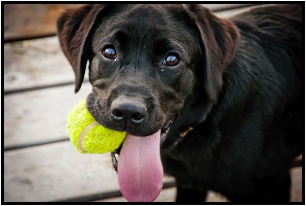 tumblr_n6n7syXNnB1tcs9lao1_1280