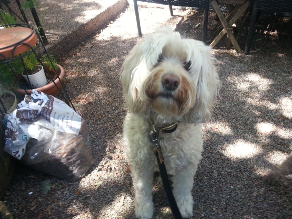 tumblr_n8zaruGZzj1tcs9lao1_1280