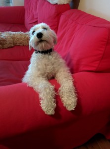 tumblr_nfmrroY4G21tcs9lao1_1280