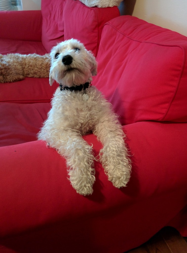 tumblr_nfmrroY4G21tcs9lao1_1280