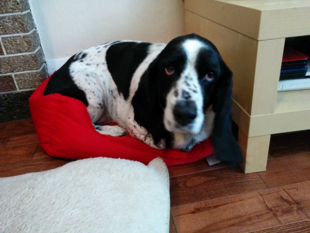 tumblr_ngjfw8nl1z1tcs9lao1_1280